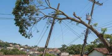 Abastecimento de água em Teresópolis é interrompido por queda de árvore que afetou rede elétrica