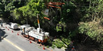 Light realiza mutirão de podas preventivas no Recreio para melhorar qualidade do fornecimento