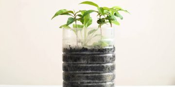 Vasos criativos com garrafas e objetos reciclados incentivam sustentabilidade e decoração personalizada