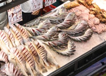 Vigilância em Niterói intensifica fiscalização de pescados na Semana Santa para garantir segurança alimentar