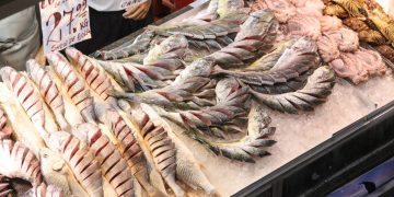 Vigilância em Niterói intensifica fiscalização de pescados na Semana Santa para garantir segurança alimentar