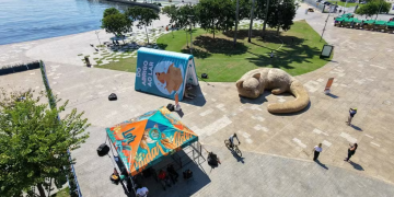 Intervenções artísticas em Praça Mauá incentivam adoção de pets até domingo