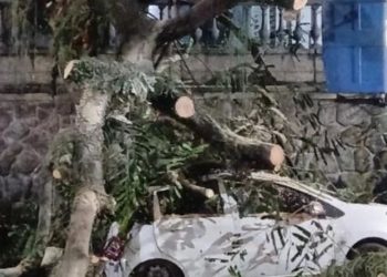 Chuva forte causa quedas de árvores, alagamentos e interrupções no transporte no Rio