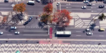 Mudanças sociais elevam proporção de moradores sozinhos e mulheres no Rio de Janeiro
