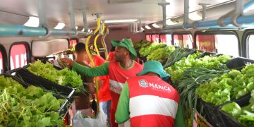 Prefeitura de Maricá distribui hortaliças frescas e sem agrotóxicos no bairro Mumbuca