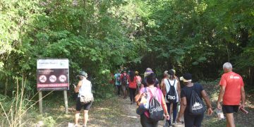 Prefeitura de Maricá promove trilha ecológica para idosos no Parque Estadual da Serra da Tiririca