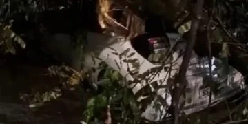 Árvore cai sobre veículos na Glória durante forte temporal no Rio de Janeiro