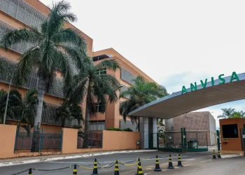 Anvisa autoriza uso de Mounjaro para tratamento de crianças com diabetes tipo 2