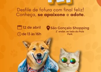 Desfile de adoção de animais no São Gonçalo Shopping oferece vacina gratuita aos primeiros adotantes