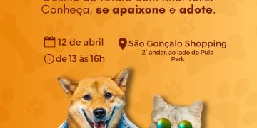 Desfile de adoção de animais no São Gonçalo Shopping oferece vacina gratuita aos primeiros adotantes