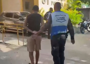 Operação apreende veículos roubados, clonado, e resgata arara-canindé no Rio