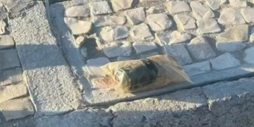 Artefato explosivo encontrado e removido na Praia de Copacabana, Rio de Janeiro