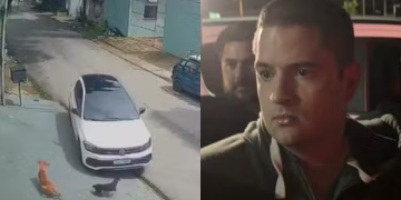 Polícia Federal prende motorista que atropelou e matou cadela em Manaus