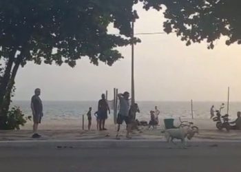 Ataque de cadela suspeita de pitbull na orla de Icaraí resulta em morte de cão menor