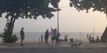 Ataque de cadela suspeita de pitbull na orla de Icaraí resulta em morte de cão menor