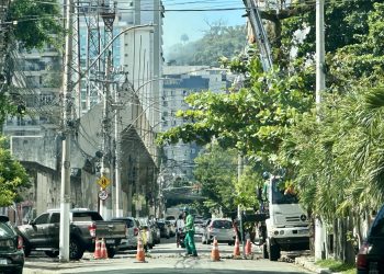 Rua Lopes Trovão é interditada em Icaraí para poda de árvore na Zona Sul de Niterói