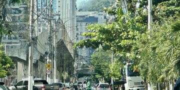 Rua Lopes Trovão é interditada em Icaraí para poda de árvore na Zona Sul de Niterói