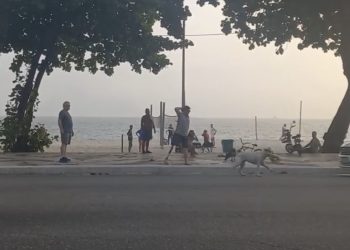 Cachorro morreu após ataque de cadela solta na Praia de Icaraí, em Niterói