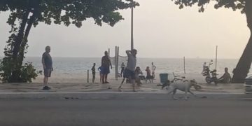 Cachorro morreu após ataque de cadela solta na Praia de Icaraí, em Niterói