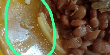 Pais denunciam larvas na merenda de escola pública de Maricá e clamam por fiscalização