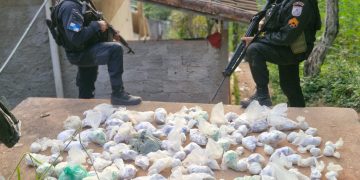 Polícia de Itaboraí apreende drogas enterradas em Rio Bonito sem resistência