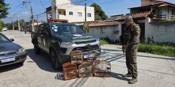 Polícia Ambiental apreende aves silvestres e gaiolas em denúncia na Serra da Tiririca