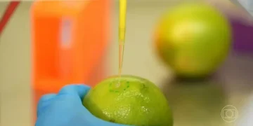 UFRJ e Embrapa desenvolvem biodetergente para aumentar durabilidade de alimentos sem agrotóxicos