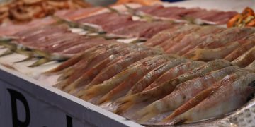 Cuidados na compra de peixes na Semana Santa evitam fraudes e garantem saúde