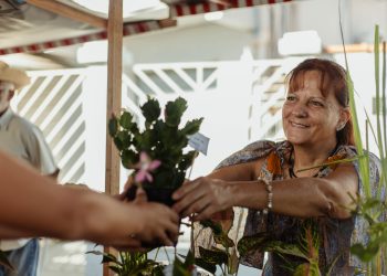 Prefeitura de Maricá realiza feira de agricultura familiar na Praça Agroecológica de Araçatiba