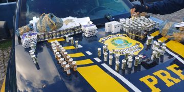 PRF apreende centenas de medicamentos ilícitos em operação na BR-101, no Norte Fluminense