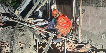 Bombeiros resgatam tartaruga de estrutura instável após desabamento em São Gonçalo