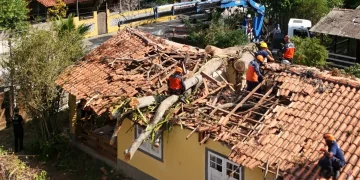 Árvore cai sobre residência em Itaipuaçu após raio; equipes atuam na remoção