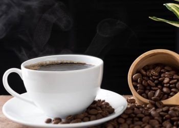 Cultivo de café em vaso: cuidados essenciais para colher grãos em ambientes domésticos