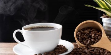 Cultivo de café em vaso: cuidados essenciais para colher grãos em ambientes domésticos