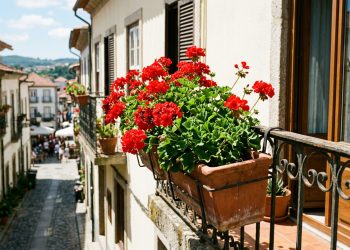 Escolha de plantas resistentes valoriza jardineiras de sacada em ambientes ensolarados