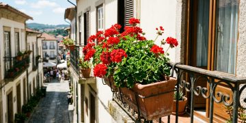 Escolha de plantas resistentes valoriza jardineiras de sacada em ambientes ensolarados