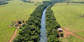 Código Florestal exige proteção e recuperação de áreas de preservação permanente em propriedades rurais