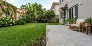 Proibição de concretar quinteis visa proteger o solo, evitar alagamentos e preservar o meio ambiente urbano