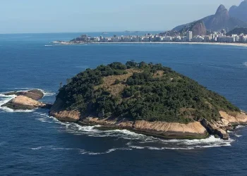 Ilha de Cotunduba, refúgio ecológico no Rio, reforça esforços de conservação e pesquisa