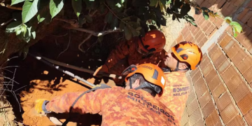 Bombeiros resgatam cadela cega e seus sete filhotes presos em buraco em Petrópolis