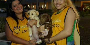 Shopping Metropolitano Barra promove feira de adoção de animais com desconto na PetFun