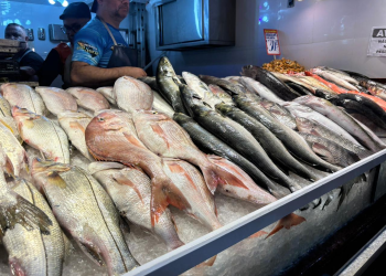Governo do Estado reforça fiscalização de pescado na Semana Santa para garantir segurança e qualidade
