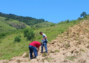 Rio Claro lança programa para retomar a cafeicultura sustentável e apoiar pequenos produtores