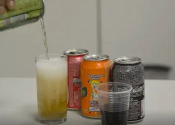 Estudo aponta elevado consumo de ultraprocessados infantis em comunidades de Recife, riscos à saúde e necessidade de políticas públicas