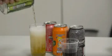 Estudo aponta elevado consumo de ultraprocessados infantis em comunidades de Recife, riscos à saúde e necessidade de políticas públicas