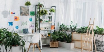 Plantas que absorvem odores melhoram qualidade do ar em ambientes internos