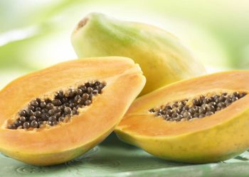 Plantio de mamão a partir de sementes de mercado permite cultivo doméstico sustentável