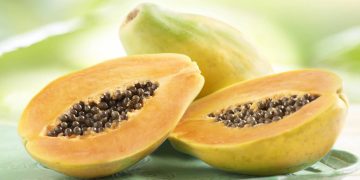 Plantio de mamão a partir de sementes de mercado permite cultivo doméstico sustentável