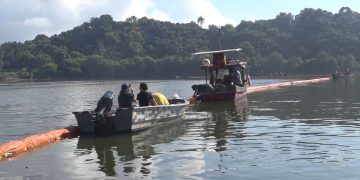 Tecnologia com fios de cabelo atua na proteção de manguezal na Baía de Guanabara