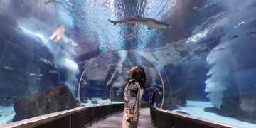 AquaRio recebe prêmio Travellers’ Choice 2026 e reforça liderança no turismo do Rio